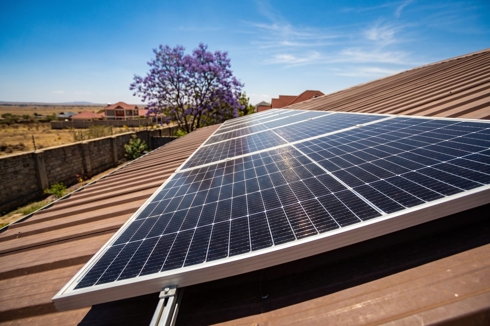 Monocrystalline solar panels on a brown mabati roof in Kitengela, with a jacaranda in bloom beyond